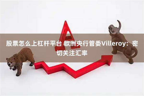 股票怎么上杠杆平台 欧洲央行管委Villeroy：密切关注汇率
